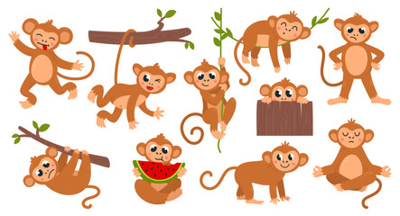 Cartoon monkey. Funny exotic monkeys, wild tropical animals with various emotions and poses. Primates eat, rest on vines, peek, classy vector characters