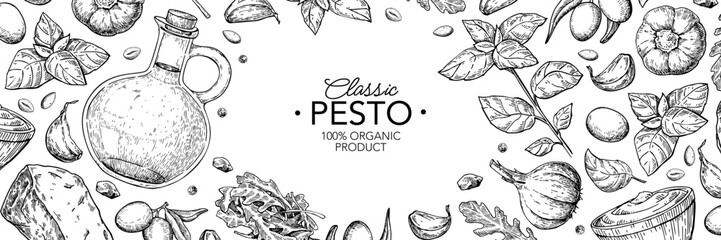 Pesto sauce ingredients vector drawing. Traditional italian food sketch. Basil, garlic, pine nuts, parmesan 