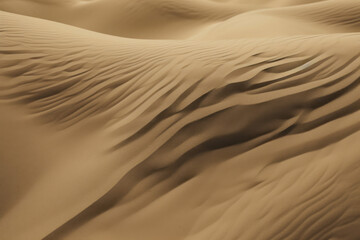 Sweeping Desert Landscape with Rolling Sand Dunes in Warm Tones