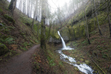 Ponytail Falls waterfall and hiking trail in foggy forest of the Columbia River Gorge, Oregon
