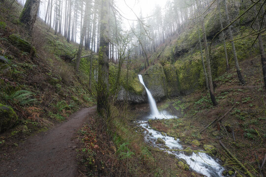 Ponytail Falls waterfall and hiking trail in foggy forest of the Columbia River Gorge, Oregon