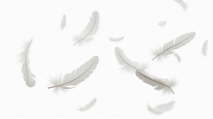 Fototapeta premium White Feathers Floating In The Air, White Feathers Isolated On White Background