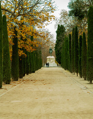 “Verde Infinito: La Magia de la Naturaleza en su Esplendor”