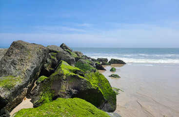 rocks on the beach