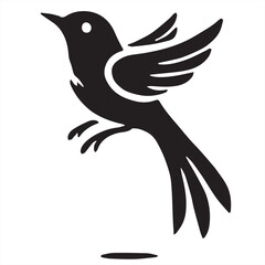 Silhouette of a palm tree on white background	