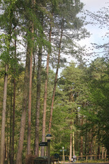 Elveden, Norfolk, United Kingdom, April 18, 2024. Views from Elveden