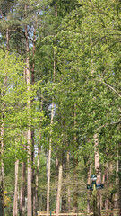 Fototapeta premium Elveden, Norfolk, United Kingdom, April 18, 2024. Views from Elveden