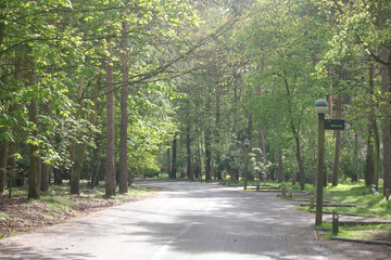 Obraz premium Elveden, Norfolk, United Kingdom, April 18, 2024. Views from Elveden