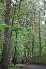 Elveden, Norfolk, United Kingdom, April 18, 2024. Views from Elveden