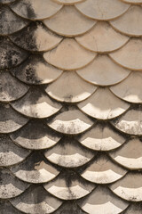 concrete wall covered in badass moss-covered fish-scale design, giving off those cool Japanese koi fish Guotaku vibes. bright sun creates strong shadows, adding depth. A perfect blend of urban grit