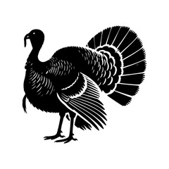 vector turkey silhouette drawing artwork