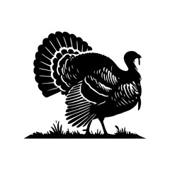 vector turkey silhouette drawing artwork
