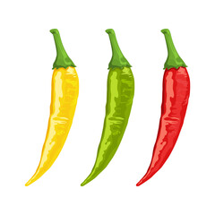 Hot Chili Pepper Assortments Vector Illustration Isolated on White.