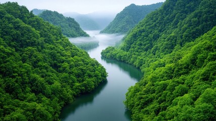 Lush green mountains surround a serene river in a misty landscape.