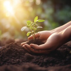 Mãos plantando um broto em um solo fértil sob a luz dourada do pôr do sol, simbolizando crescimento, natureza e renovação ambiental.

