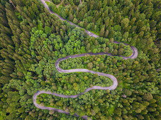 Aerial view of a winding road through a dense green forest with cars driving along it
