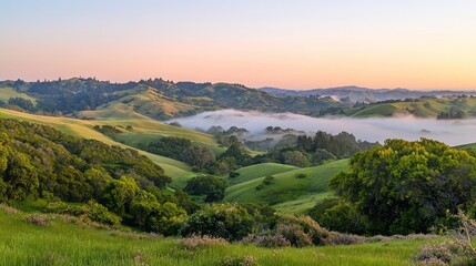 Serene Dawn Over Misty Rolling Hills - A Tranquil Landscape View with Soft Pastel Hues of Nature's Beauty