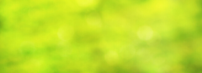 Abstract green blurred natural background, horizontal banner - view of the green foliage in the...