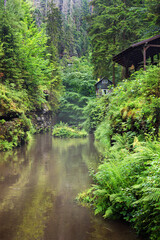 Obraz premium Summer natural landscape - view of the mountain river and the tourist trail in the Elbe Sandstone Mountains, Bohemian Switzerland, the north-western Czech Republic