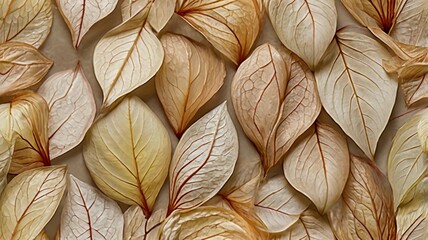 Nature abstract of flower petals, beige transparent leaves with natural texture as natural background or wallpaper. Macro texture, neutral color aesthetic photo with veins of leaf, botanical design.