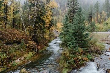 Autumn stream flows through a misty forest. Colorful foliage surrounds the rushing water. Victoria, Lead, South Dakota, USA.