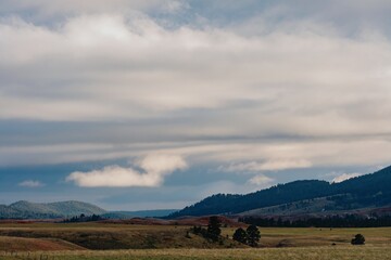 Obraz premium Cloudy, rolling hills and grasslands. Cattle graze in the field. Peaceful landscape. , Newcastle, Wyoming, USA.