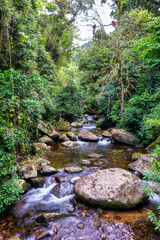 Rapids in a stream with rocks and surrounded by forest in the Atlantic Forest in Ilhabela, Sao Paulo, Brazil.
