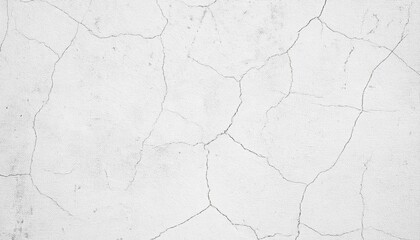 Cracked White Wall Texture: A Monochromatic Study in Distress