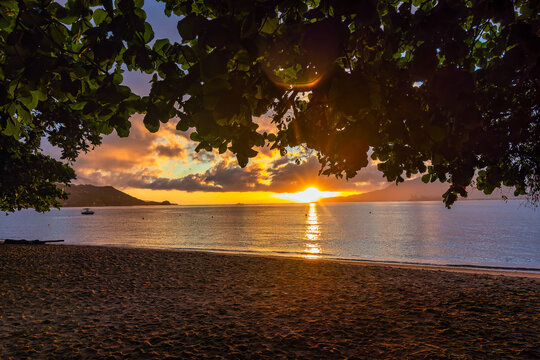 Pereque Beach at sunset in Ilhabela Bela, Sao Paulo, Brazil. Sunset view at Pereque Beach under a tree in Ilhabela, Sao Paulo, Brazil.