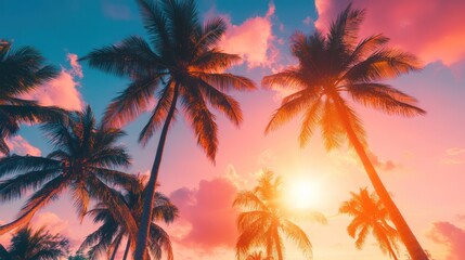 Obraz premium Silhouetted Palm Trees at Sunset