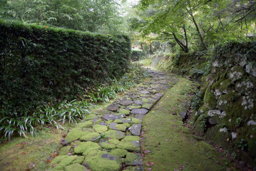 Obraz premium 金剛輪寺 赤門から明寿院への参道 滋賀県愛知郡愛荘町