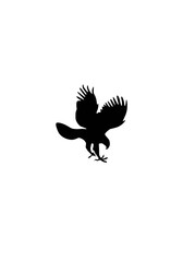 EAGLE ICON IMAGEN AGUILA AVE