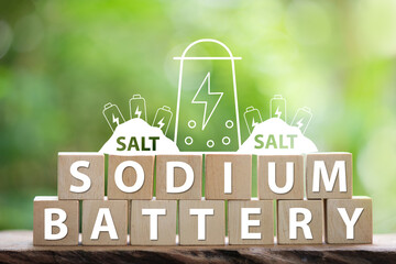 SODIUM  BATTERY text on woods and icons on natural background.