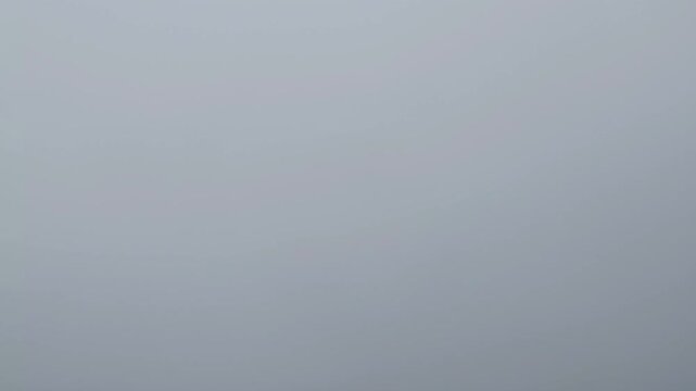 The view of thick white fog covering the sky makes visibility increasingly short