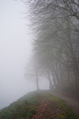 A path in a fog