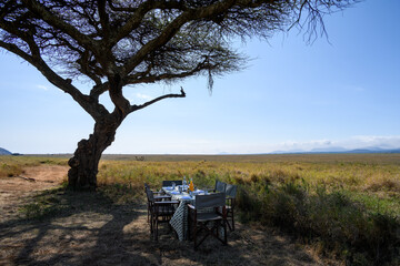 Breakfast out in the African bush, table and chairs set in the shade of a tree, Lewa Conservancy, African wildlife adventure safari in Kenya
