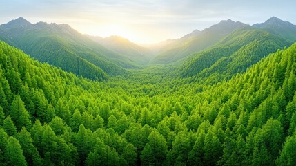 Naklejka premium Verdant sunrise over lush green valley and mountain landscape