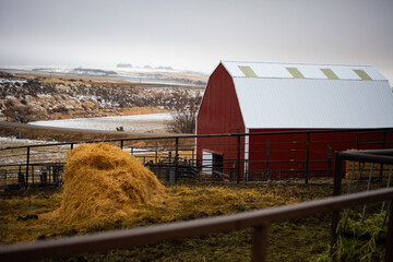 Red barn on the farm during a snowy day in Eastern Idaho
