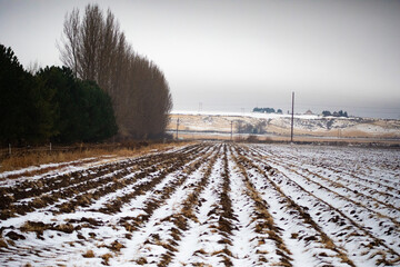 Farm life in the winter in east idaho