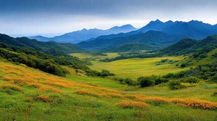 Fototapeta premium [serene mountain landscape with yellow wildflowers] Lush Valley Surrounded by Majestic Mountains with Vibrant Yellow Wildflowers