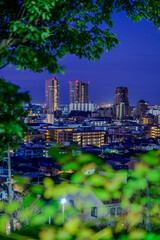 Naklejka premium 夜明け前の神戸の街。東灘区岡本の高台にある梅林公園より冬の明け方に撮影