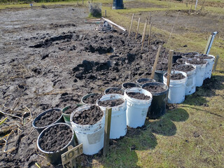 A muddy allotment garden space during early spring time as the soil is started to be worked for the season