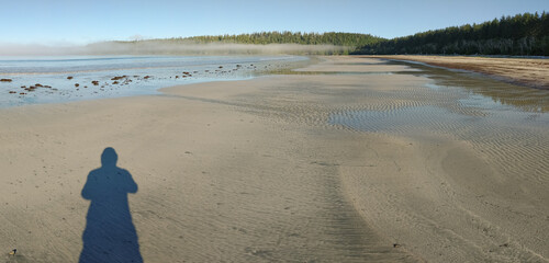 Pachena Bay Beach with misty fog rising off it during the early morning sun rise with golden sunlight illuminating 