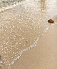 Nature landscape view of beautiful tropical sandy beach with soft waves