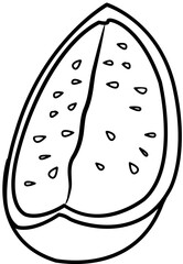 watermelon coloring book