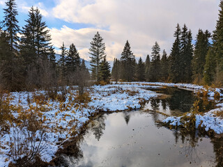 A cold pond with snow on ground and the reflection of nearby pine trees near Whistler BC Canada