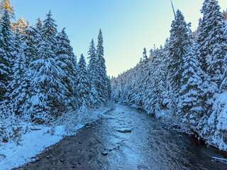 An icy river with snow covered fir trees during a crisp winter day in Whistler BC Canada