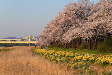 北上市立公園展勝地