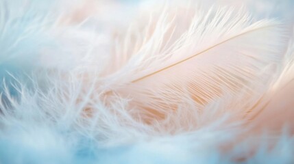 Delicate white feathers blend softly into gentle colors, showcasing their fine texture and airy quality in a tranquil setting