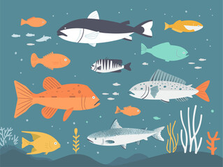 Naklejka premium Fish Identification Guide: A Visual Journey into the Underwater Realm